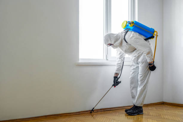 Best Pest Exclusion Services  in Mount Pleasant, MI